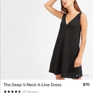 NWOT Everlane Deep V-Neck A-Line Dress